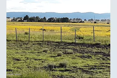 0 Tract E Tbd, Nutrioso, AZ 85932 - Photo 10