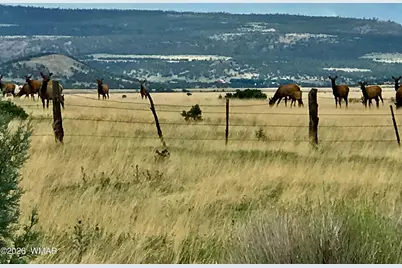 0 Tract E Tbd, Nutrioso, AZ 85932 - Photo 2