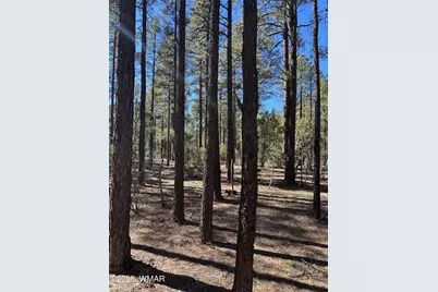 3737 Bear Trail, Lakeside, AZ 85929 - Photo 2