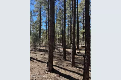 3737 Bear Trail, Lakeside, AZ 85929 - Photo 1