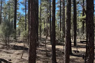 3737 Bear Trail, Lakeside, AZ 85929 - Photo 1