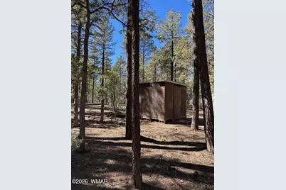 3737 Bear Trail, Lakeside, AZ 85929 - Photo 6