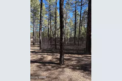 3737 Bear Trail, Lakeside, AZ 85929 - Photo 8
