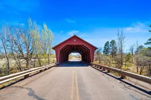 1234 Turkey Hill Rd, Pinedale, AZ 85934 - Photo 48