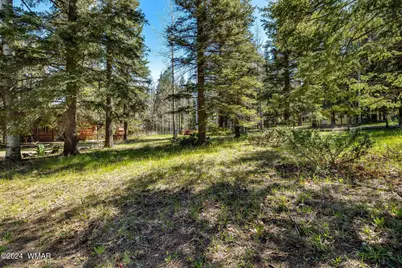 7 County Road 2044, Alpine, AZ 85920 - Photo 28