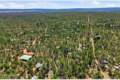 2028 Jones Pass, Overgaard, AZ 85933 - Photo 28