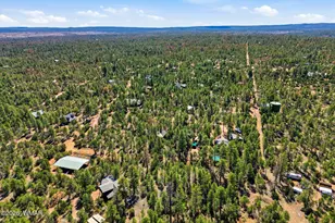 2028 Jone's Pass, Overgaard, AZ 85933 - Photo 28