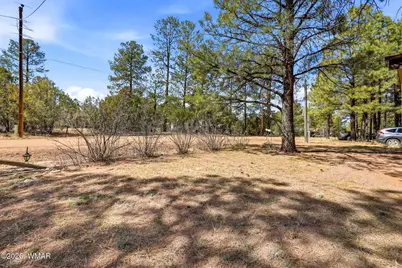 2877 Lazy Bear Trail, Overgaard, AZ 85933 - Photo 2