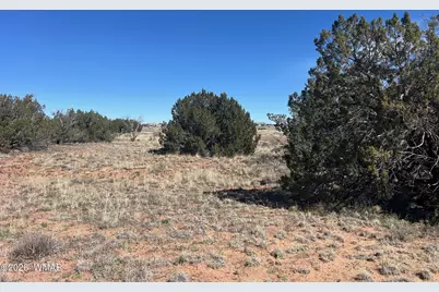 3920 Freeman Hollow Road, Snowflake, AZ 85937 - Photo 10