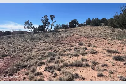 3920 Freeman Hollow Road, Snowflake, AZ 85937 - Photo 4