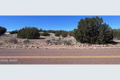 3920 Freeman Hollow Road, Snowflake, AZ 85937 - Photo 1
