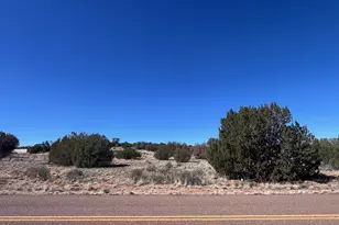 3920 Freeman Hollow Rd, Snowflake, AZ 85937 - Photo 1