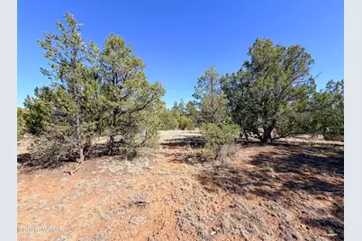 3344 Stone Bridge Trail, Heber, AZ 85928 - Photo 6