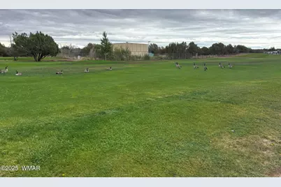 1850 Par Circle, Unit 235 #235, Show Low, AZ 85901 - Photo 10