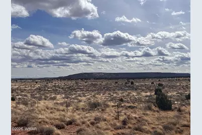 8820 E Concho Highway, Snowflake, AZ 85937 - Photo 14