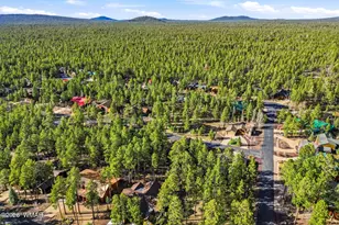 8505 Pinewood Dr, Pinetop, AZ 85935 - Photo 56