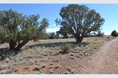 277 County Road N9234, Concho, AZ 85924 - Photo 18