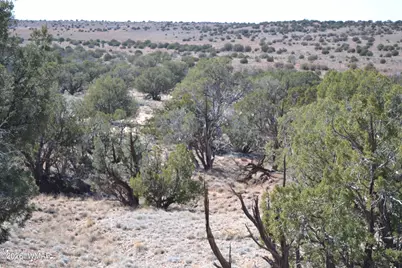 277 County Road N9234, Concho, AZ 85924 - Photo 24