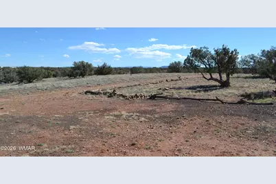 277 County Road N9234, Concho, AZ 85924 - Photo 10