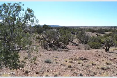 277 County Road N9234, Concho, AZ 85924 - Photo 12