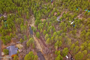 571 W Pine Shadow Dr, Lakeside, AZ 85929 - Photo 46