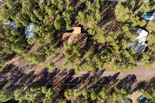 3622 Bear Trail, Lakeside, AZ 85929 - Photo 44