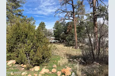 2856 Rainbow Trail, Overgaard, AZ 85933 - Photo 1