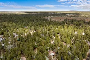 2221 Turtle Creek Rd, Show Low, AZ 85901 - Photo 24