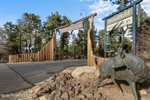 2221 Turtle Creek Rd, Show Low, AZ 85901 - Photo 28