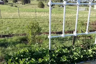 136 N Hashknife Dr, Young, AZ 85554 - Photo 50