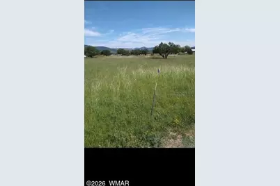 136 N Hashknife Drive, Young, AZ 85554 - Photo 38