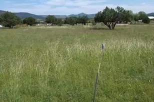 136 N Hashknife Dr, Young, AZ 85554 - Photo 38