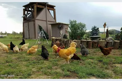 136 N Hashknife Drive, Young, AZ 85554 - Photo 48