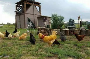 136 N Hashknife Dr, Young, AZ 85554 - Photo 48