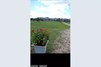 136 N Hashknife Drive, Young, AZ 85554 - Photo 46