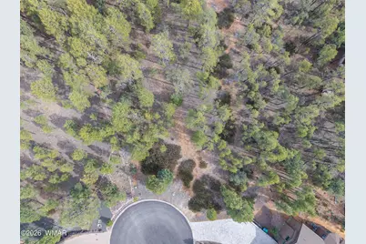 2245 S Columbine Court, Show Low, AZ 85901 - Photo 4