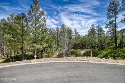 2245 S Columbine Court, Show Low, AZ 85901 - Photo 1