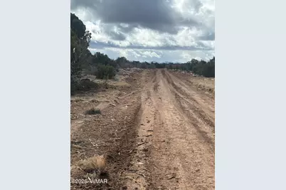 3A N8716, Concho, AZ 85924 - Photo 1