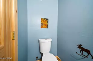 6325 Gardenia Ln, Show Low, AZ 85901 - Photo 52