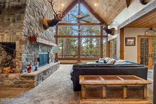 36 Cr N2147, Alpine, AZ 85920 - Photo 12