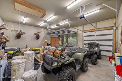 36 Cr N2147, Alpine, AZ 85920 - Photo 40