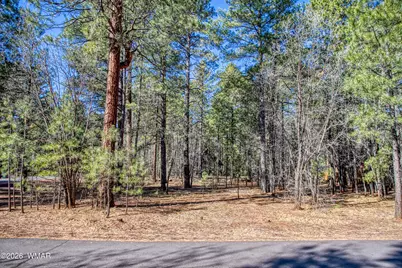 4250 Branding Iron Loop, Pinetop, AZ 85935 - Photo 4