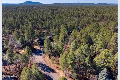 4250 Branding Iron Loop, Pinetop, AZ 85935 - Photo 8