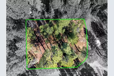 4250 Branding Iron Loop, Pinetop, AZ 85935 - Photo 2