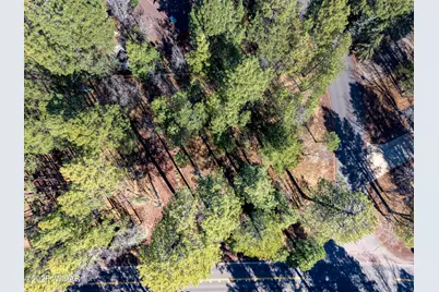 4250 Branding Iron Loop, Pinetop, AZ 85935 - Photo 6