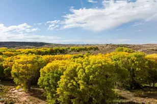 631 Centennial Blvd, Taylor, AZ 85939 - Photo 36