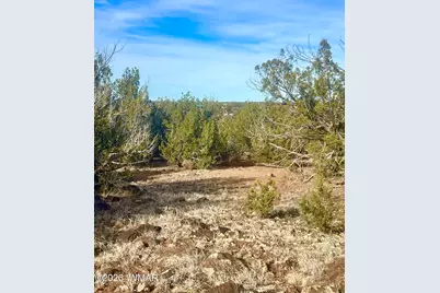 1877 Rainbow Circle, Show Low, AZ 85901 - Photo 4