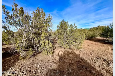 1877 Rainbow Circle, Show Low, AZ 85901 - Photo 16