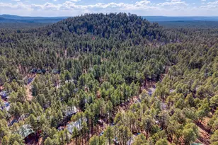 1915 E Sierra Pine Loop, Pinetop, AZ 85935 - Photo 28