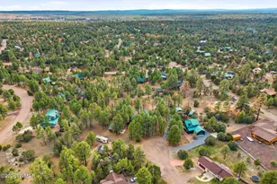 2233 Del Rio Cir, Overgaard, AZ 85933 - Photo 46